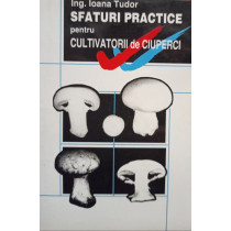 Sfaturi practice pentru cultivatorii de ciuperci