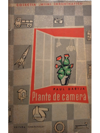 Plante de camera