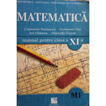 Matematica - Manual pentru clasa a XI-a