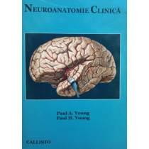 Neuroanatomie clinica