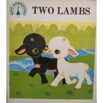 Two lambs