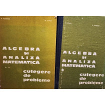 Algebra si analiza matematica, 2 vol.