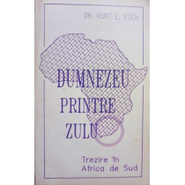 Dumnezeu printre Zulu