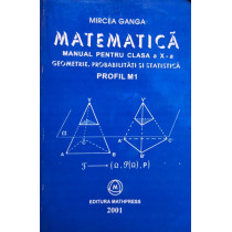 Matematica - Manual pentru clasa a Xa profil M1