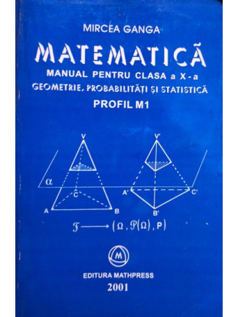 Matematica - Manual pentru clasa a Xa profil M1