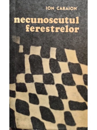 Necunoscutul ferestrelor