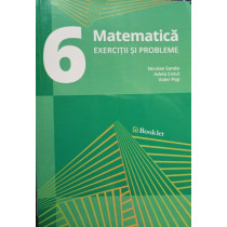 Matematica - Exercitii si probleme clasa a VI-a