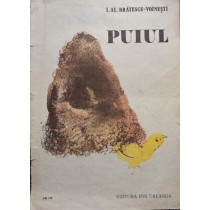 Puiul