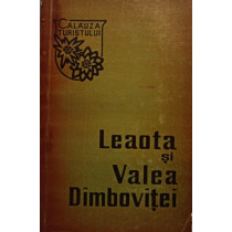 Leaota si Valea Dambovitei