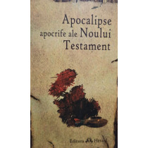 Apocalipse apocrife ale Noului Testament