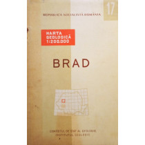 Brad