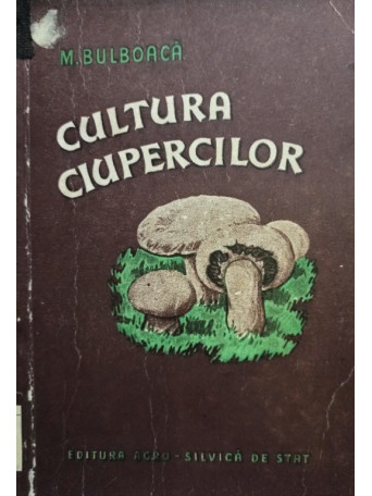 Cultura ciupercilor