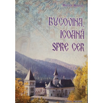 Bucovina, icoana spre cer