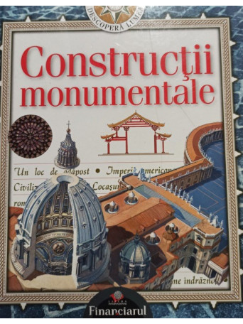 Anne Lynch - Constructii monumentale - 2008 - Cartonata