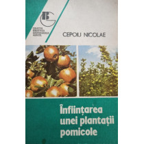 Infiintarea unei plantatii pomicole