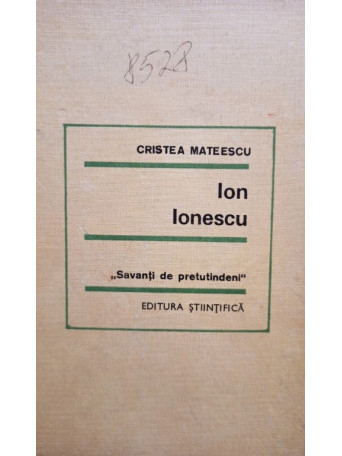 Ion Ionescu