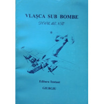 Vlasca sub bombe - Documente, vol. 1