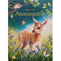 Anotimpurile