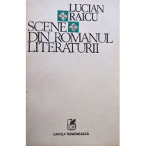 Scene din romanul literaturii