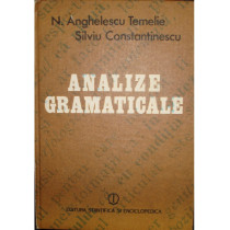 Analize gramaticale