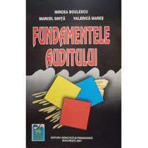 Fundamentele auditului