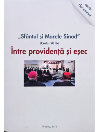 Sfantul si Marele Sinod. Intre providenta si esec