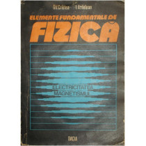 Elemente fundamentale de fizica - Electricitatea, magnetismul