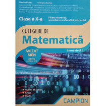 Culegere de matematica clasa a X-a, semestrul I