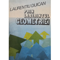 Prin labirintul geometriei