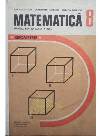 Matematica. Manual pentru clasa a VIII-a - Geometrie