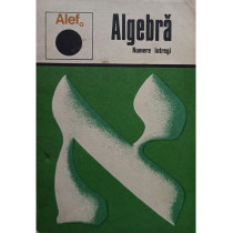 Algebra. Numere intregi - Alef