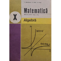 Matematica. Manual pentru clasa a X-a, algebra