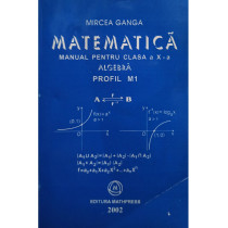 Matematica. Manual pentru clasa a X-a, algebra, profil M1