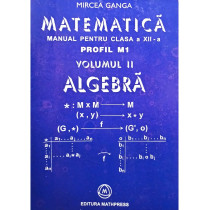 Matematica, manual pentru clasa a XII-a profil M1. Algebra, vol II