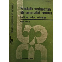 Principiile fundamentale ale matematicii moderne