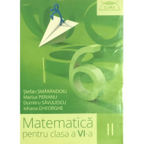 Matematica pentru clasa a VI-a - vol. II