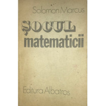 Socul matematicii