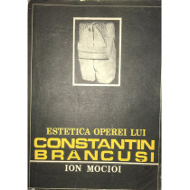 Estetica operei lui Constantin Brancusi