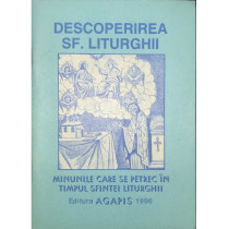 Minunile care se petrec in timpul Sfintei Liturghii