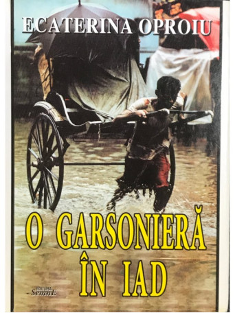 O garsoniera in iad