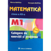 Matematica clasa a XII-a - Culegere de exercitii si probleme