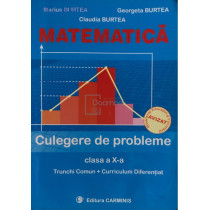 Matematica - Culegere de probleme clasa a X-a