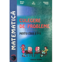 Matematica - Culegere de probleme pentru clasa a V-a