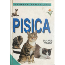 Pisica