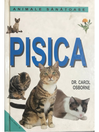 Pisica