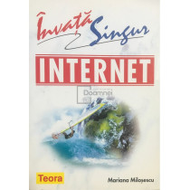 Invata singur Internet