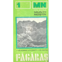 Muntii Fagaras