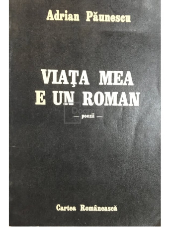 Viata mea e un roman