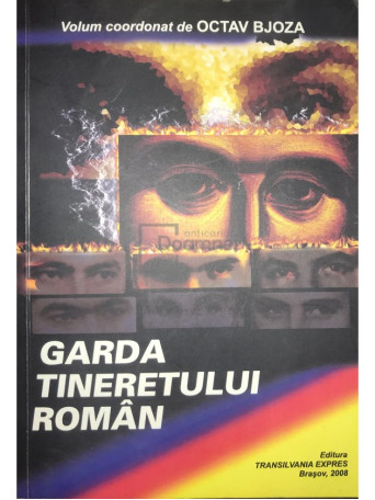 Garda tineretului roman