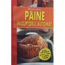 Paine in cuptorul automat